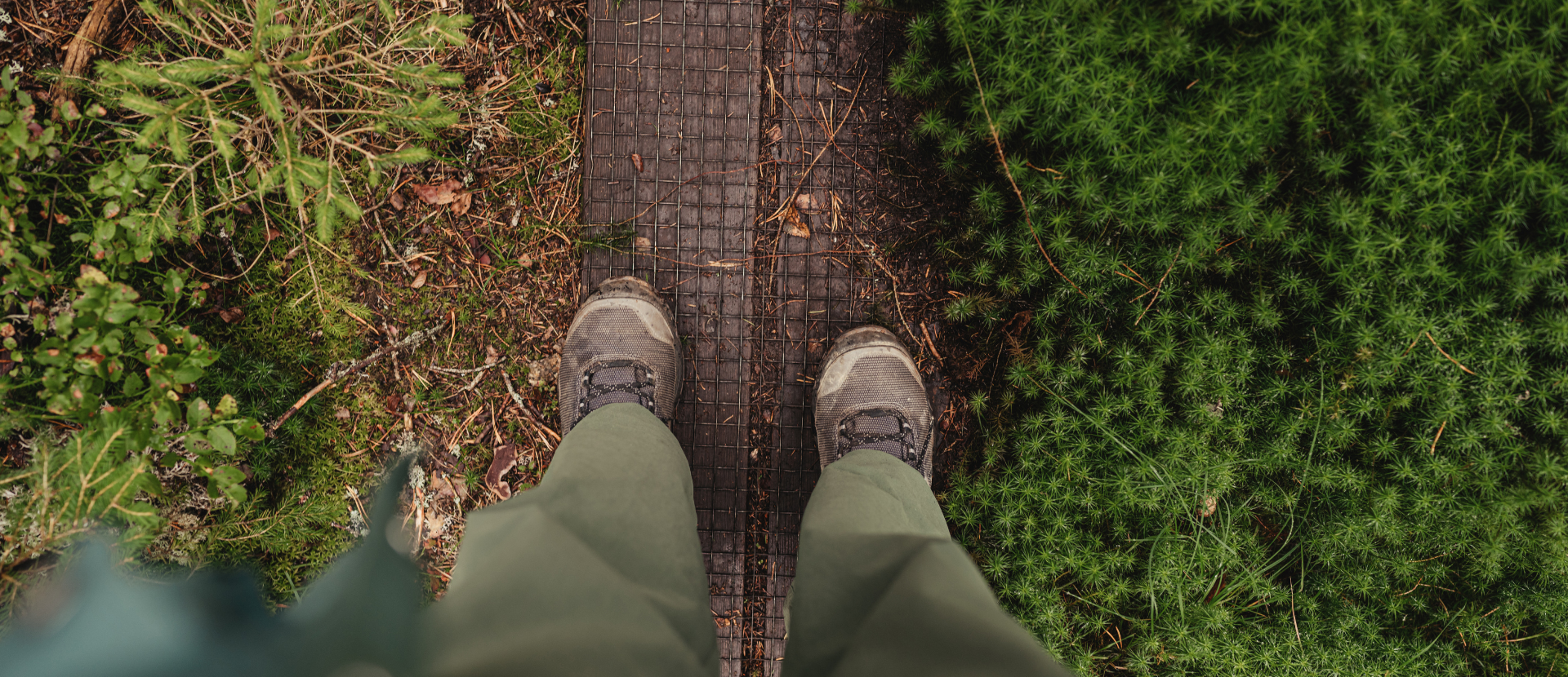 Wanderschuhe auf einem Holzsteg im grünen Moos