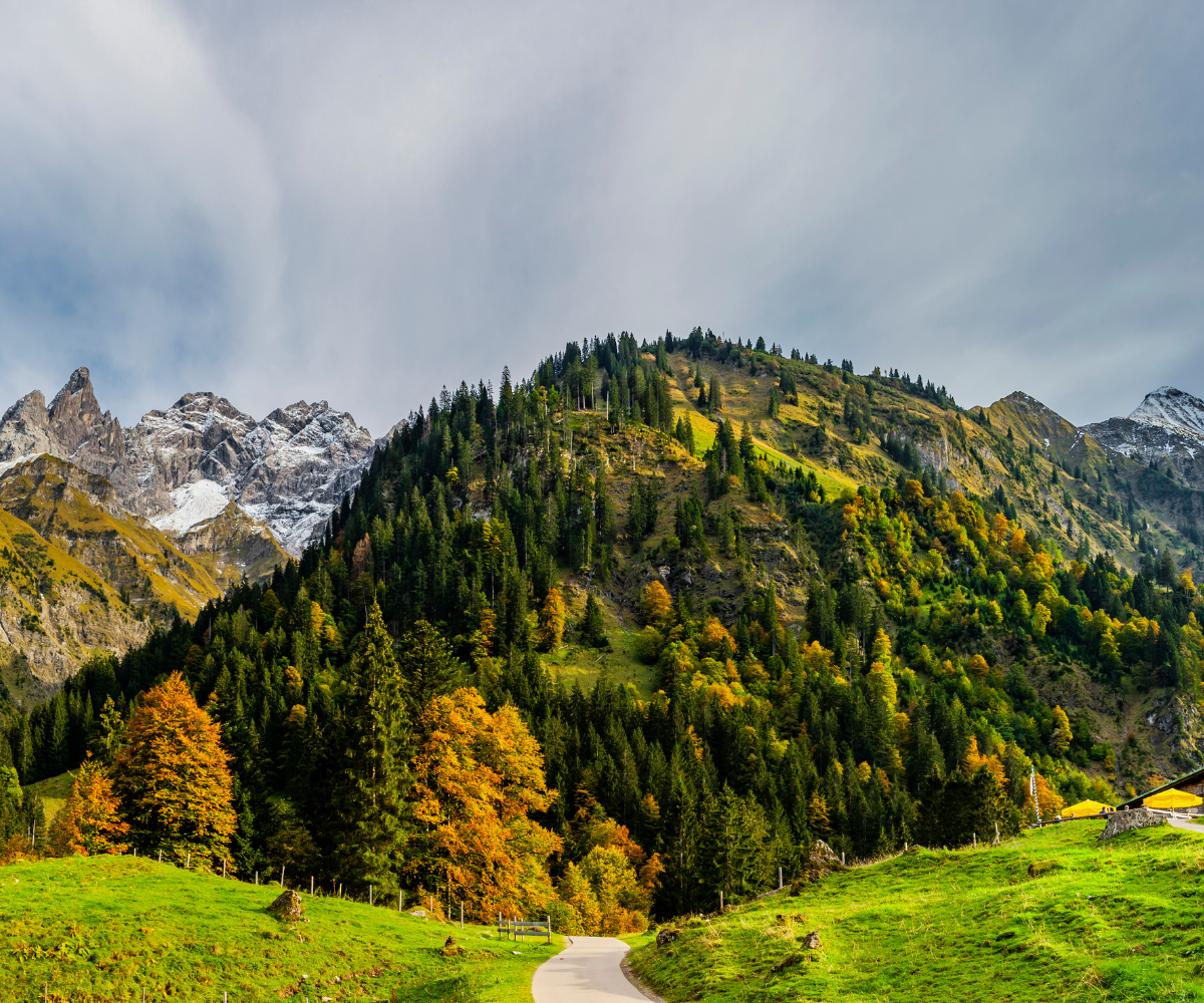Herbstliche Berglandschaft im Allgäu mit bunten Bäumen und grünen Almwiesen