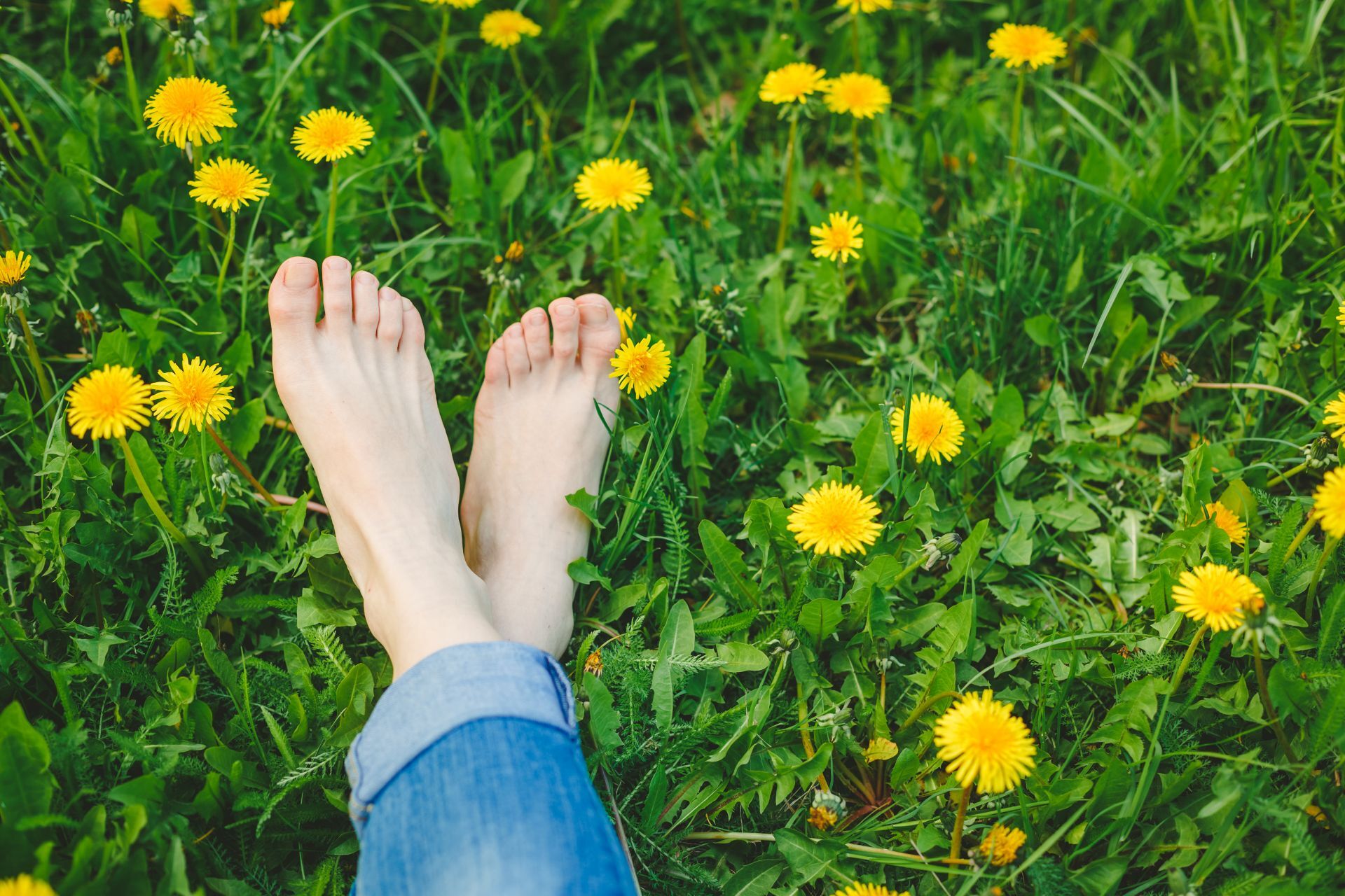 Füße in einer Wiese