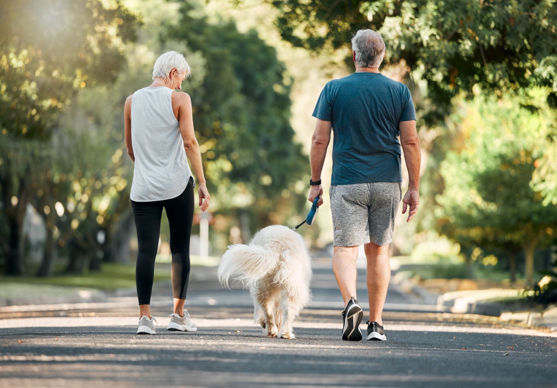 Mann und Frau gehen mit einem Hund spazieren